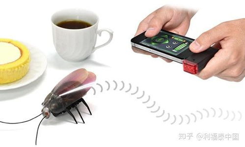 專業(yè)滅鼠與數(shù)據(jù)處理服務(wù) 從工廠到家庭的快速解決方案